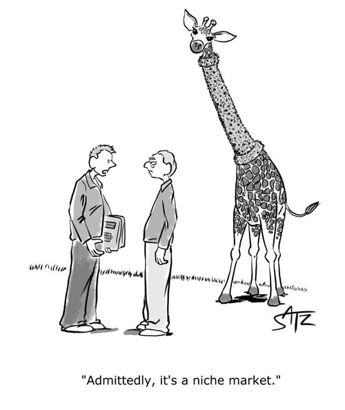 "Admittedly, it's a niche market."