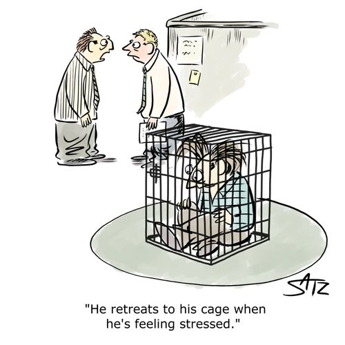 "He retreats to his cage when he's feeling stressed."
