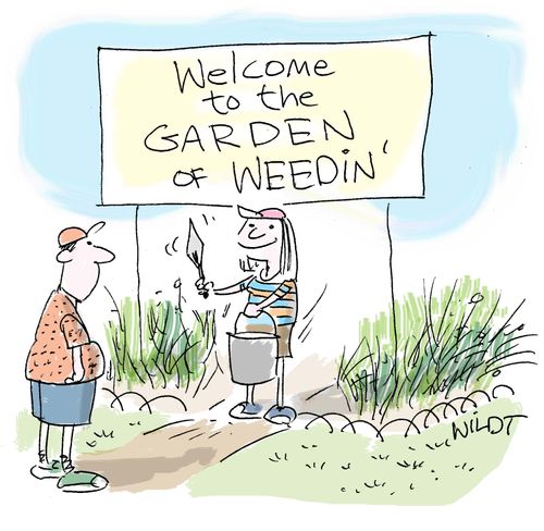 Welcome to the Garden of Weedin'