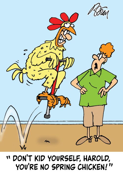 "Don't kid yourself. Harold, you're no spring chicken!"