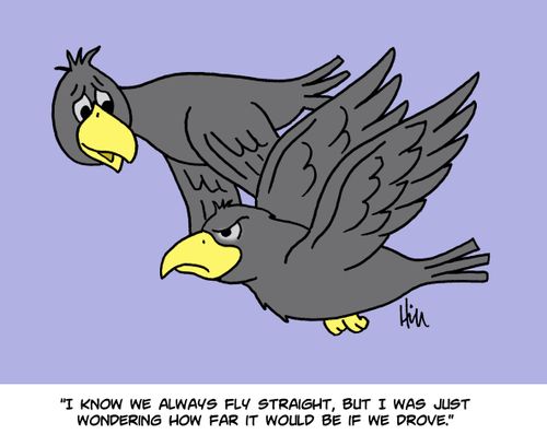 "I now we always fly straight, but I was just wondering how far it would be if we drove."