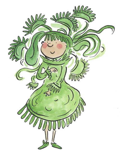 Venus Fly Trap