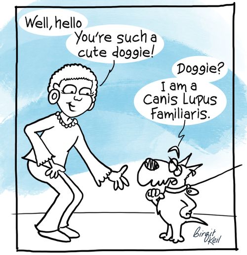"Well, hello. You're such a cute doggie!"