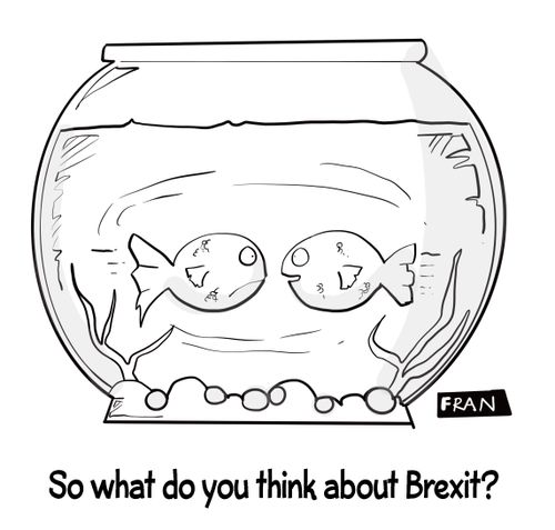 "So what do you think about Brexit?"
