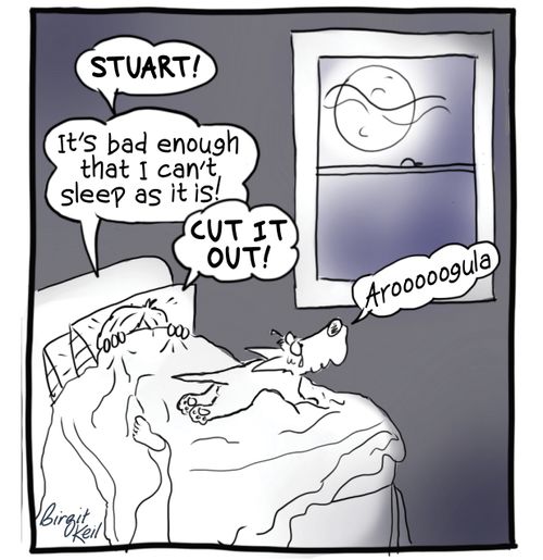 "It's bad enough that I can't sleep as it is!"