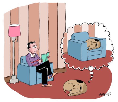 Dog dreams of sleeping in masters chair. 