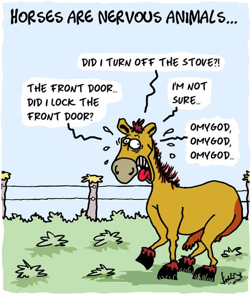 Horses are nervous animals. . .