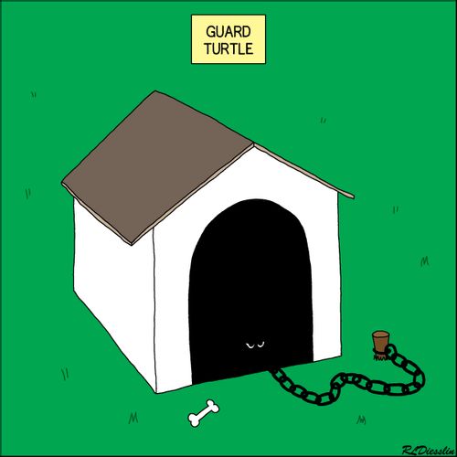 Guard Turtle