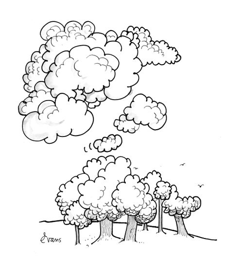 Clouds