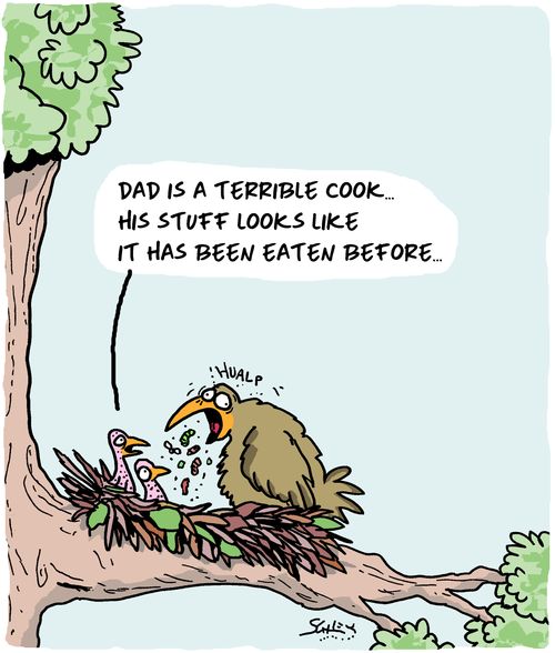 "Dad is a terrible cook....his stuff looks like it has been eaten before..."