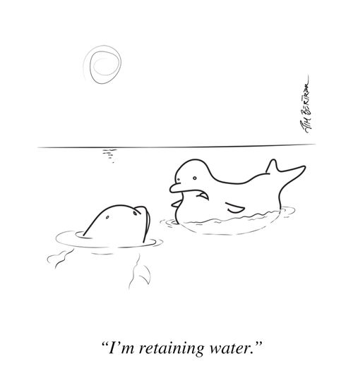 "I'm retaining water."