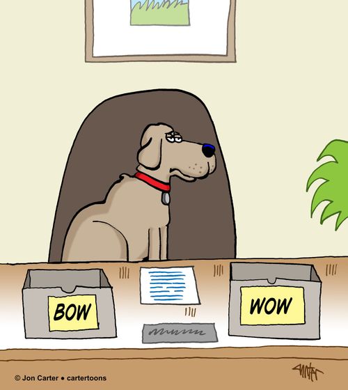 A dog sits at his office desk with desk trays that read "Bow," and "Wow."