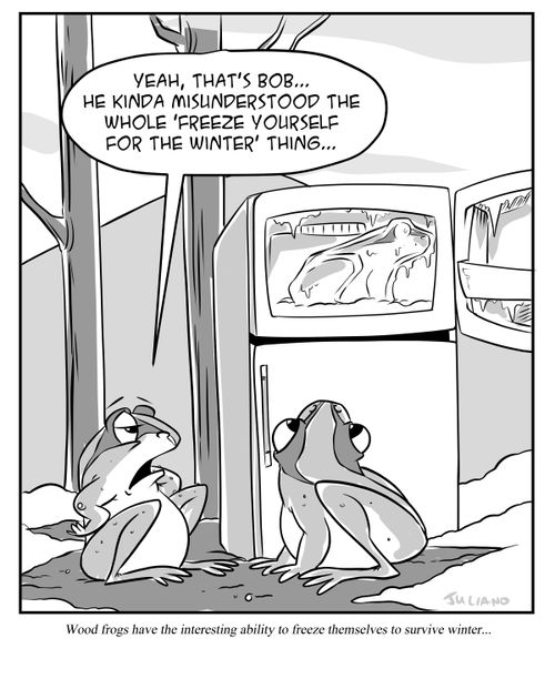 "Yeah, that's Bob. . . he kinda misunderstood the whole 'freeze yourself for the winter' thing. . ."