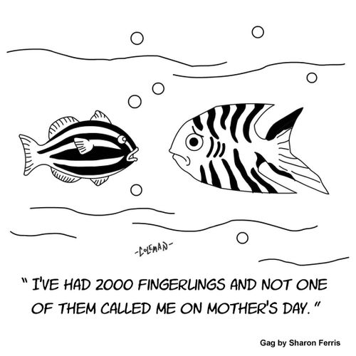 "I've had 2000 fingerlings and not one of them called me on Mother's Day."