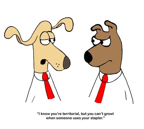 "I know you're territorial, but you can't growl when someone uses your stapler."