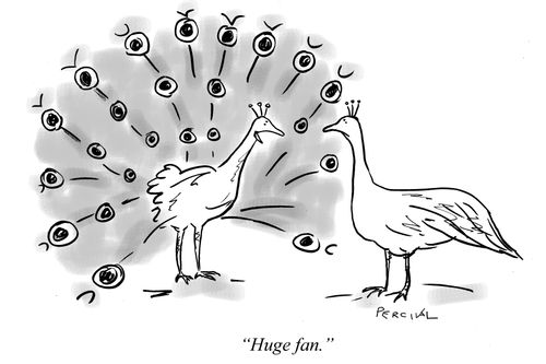 "Huge fan."