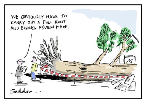 "We obviously have to carry out a full root and branch review here."