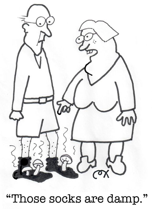"Those socks are damp."