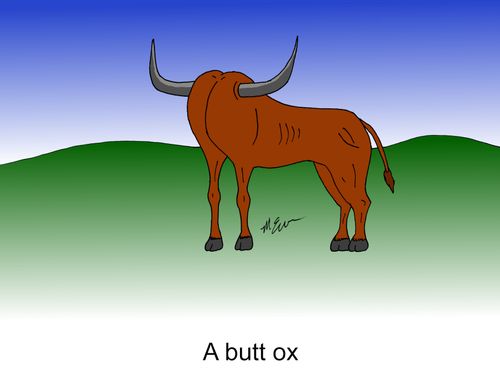 A Butt Ox