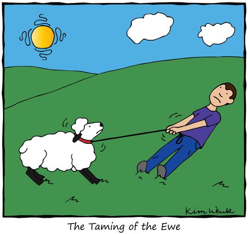 The Taming of the Ewe