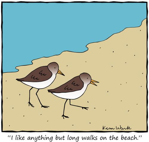 "I like anything but long walks on the beach."