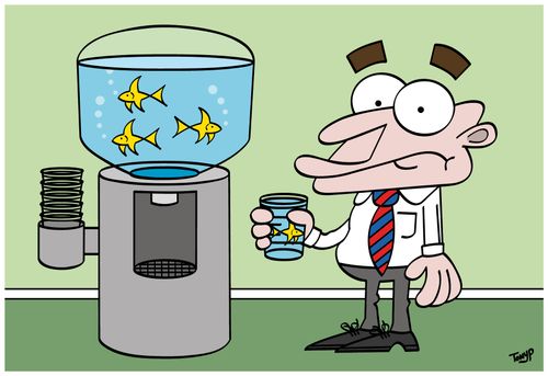 Goldfish in an office water dispenser