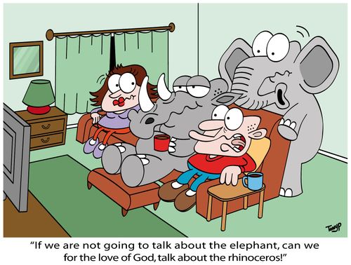 "If we are not going to talk about the elephant, can we for the love of God, talk about the rhinoceros!"
