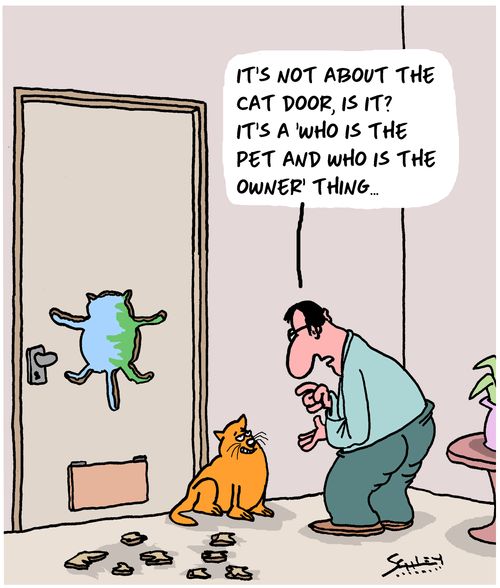 "It's not about the cat door, is it? It's a 'who is the pet and who is the owner' thing..."