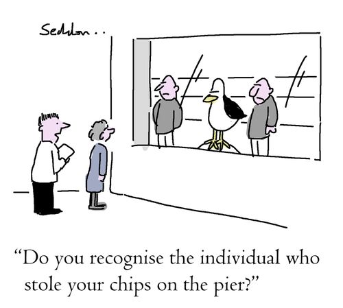 "Do you recognise the individual who stole your chips on the pier?"