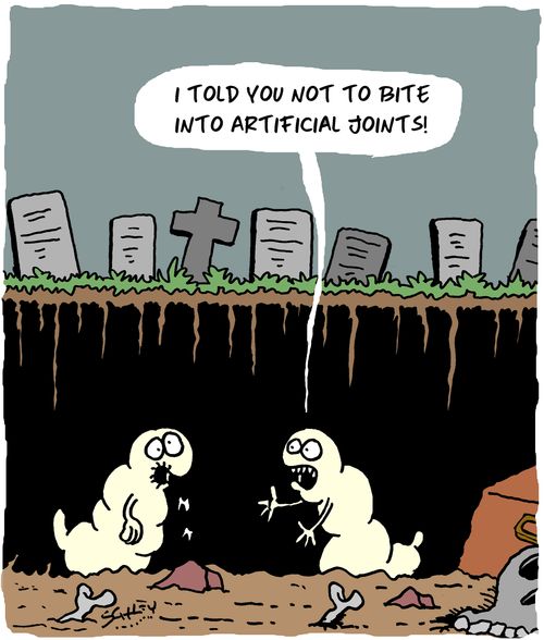 "I  told you not to bite into artificial joints!"