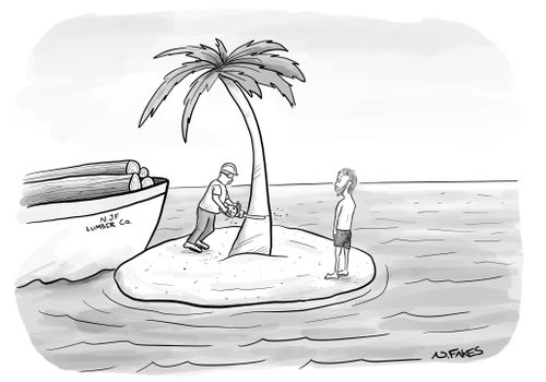 Deserted Island Logging