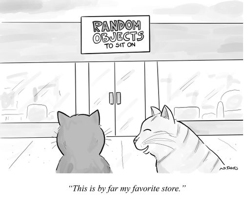 "This is by far my favorite store."