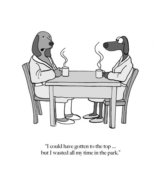 "I could have gotten to the top . . . but I wasted all my time in the park."