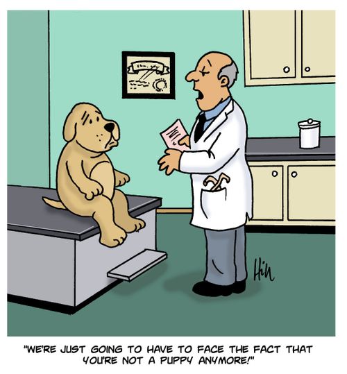 "We're just going to have to face the fact that you're not a puppy anymore!"