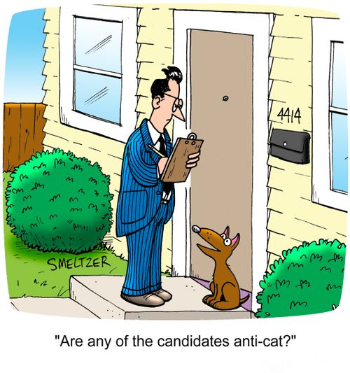 "Are any of the candidates anti-cat?"
