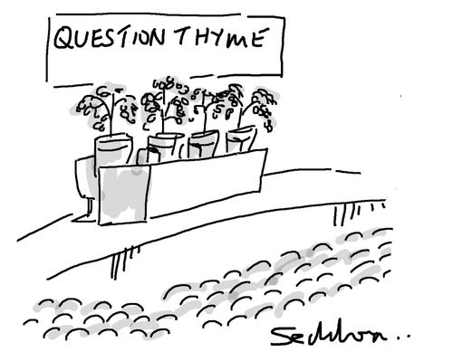 Question Thyme