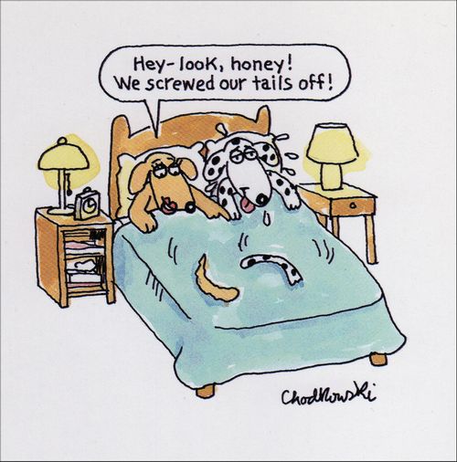 "Hey-look, honey! We screwed our tails off!"