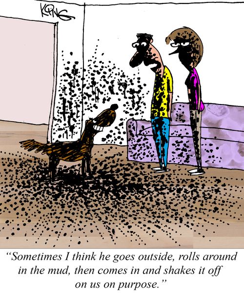 "Sometimes I think he goes outside, rolls around in the mud, then comes in and shakes it off on us on purpose."