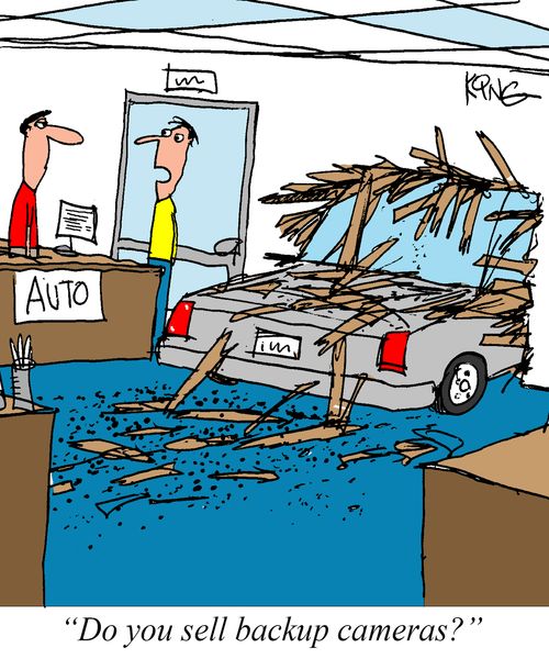 "Do you sell backup cameras?"