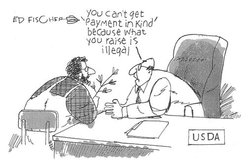 "You can't get 'payment in kind' because what you raise is illegal."
