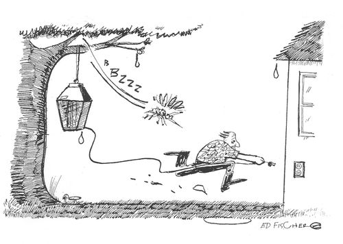 Attack Bugs