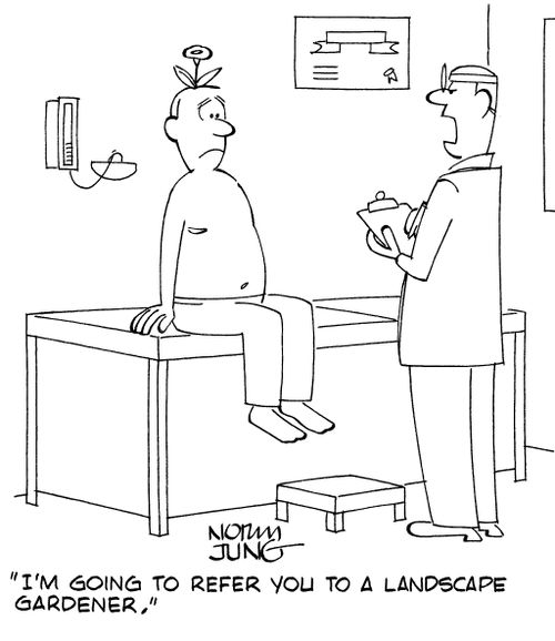 "I'm going to refer you to a landscape gardener."