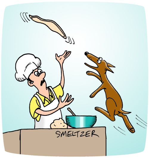 Frisbee dog catching pizza dough