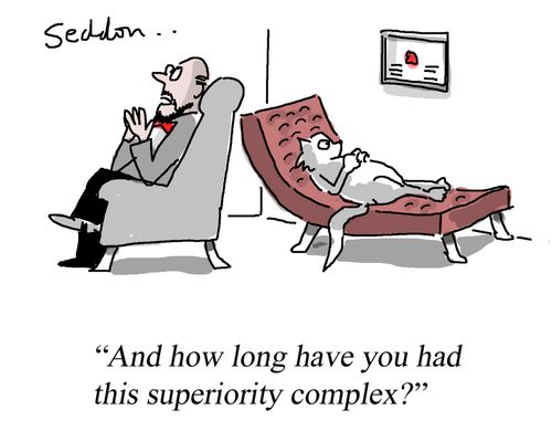 "And how long have you had this superiority complex?"