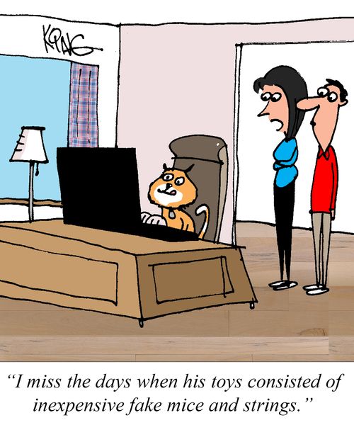 "I miss the days when his toys consisted of inexpensive fake mice and strings."