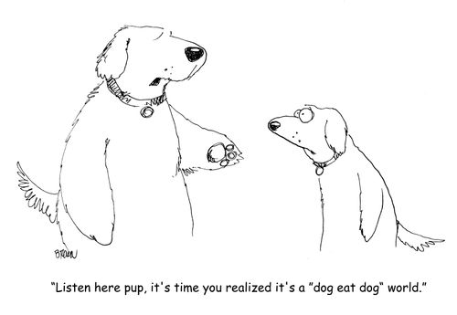"Listen here pup, it's time you realized it's a "dog eat dog" world." 
