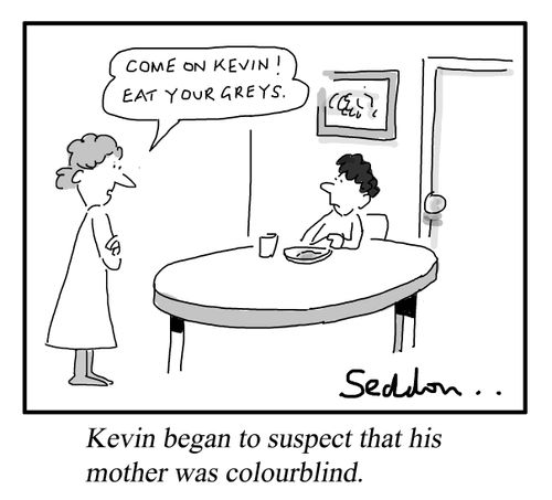 Kevin began to suspect that his Mother was colourblind.