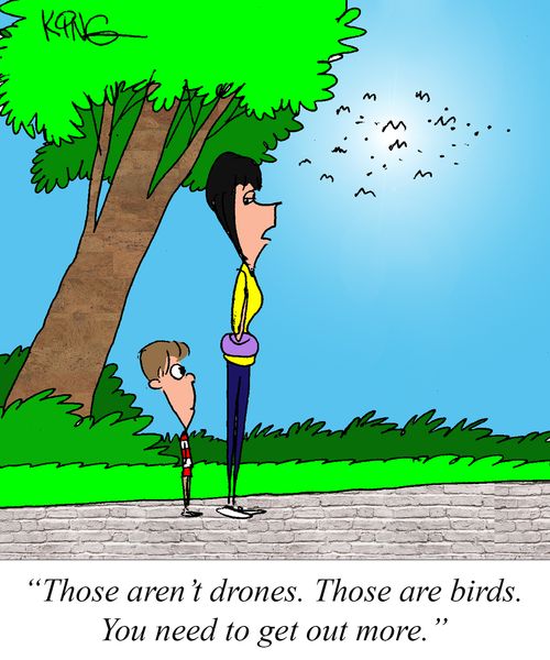 "Those aren't drones. Those are birds. You need to get out more."