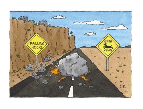 Fall Rocks/Deer Crossing