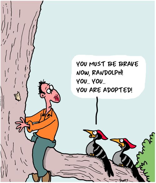 "You must be brave now, Randolph! You. . . You. . . You are adopted!"